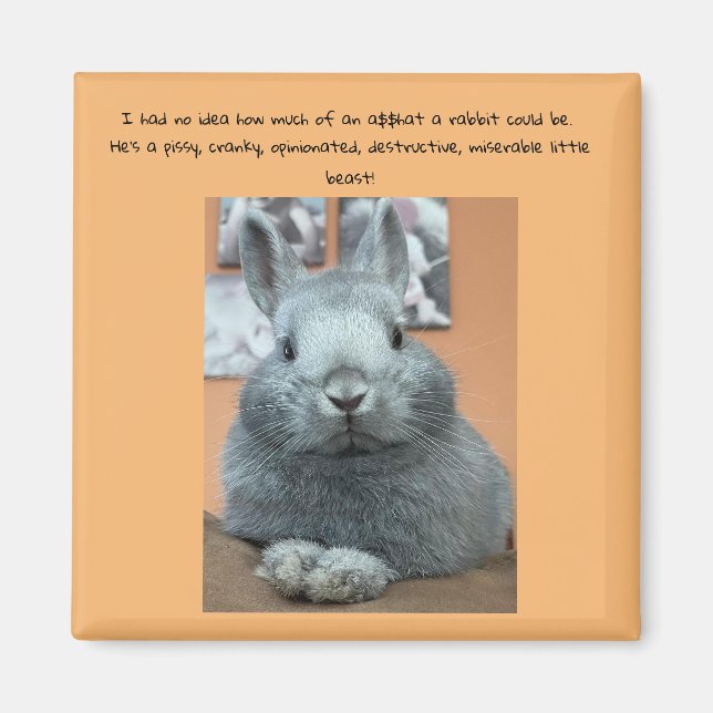 Cranky Rabbit Fridge Magnet (Front)