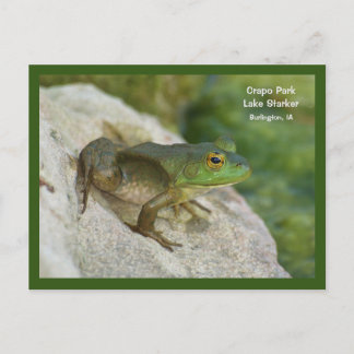 Crapo Park frog, Burlington, IA Postcard