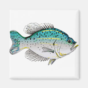 Crappie Magnet