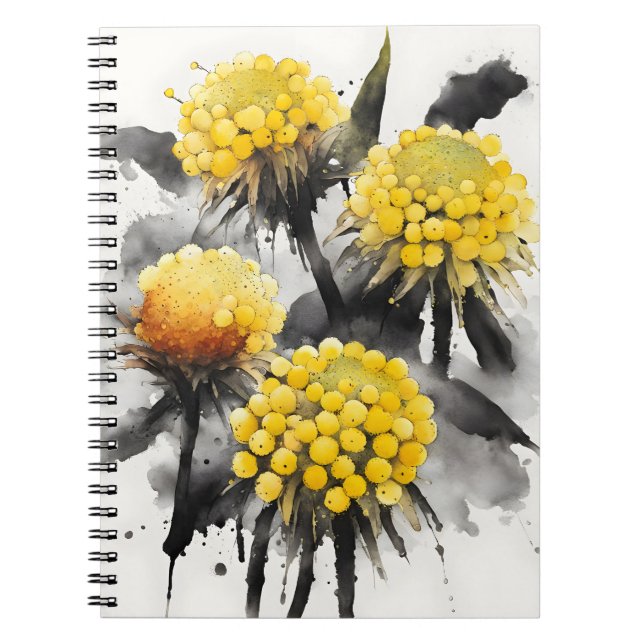 Craspedia - Watercolor flowers Notebook (Front)