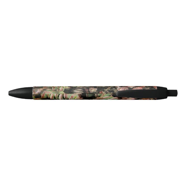 Crassula perforata black ink pen (Back)