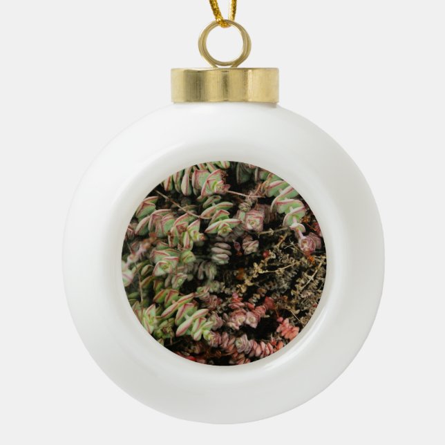 Crassula perforata ceramic ball christmas ornament (Front)