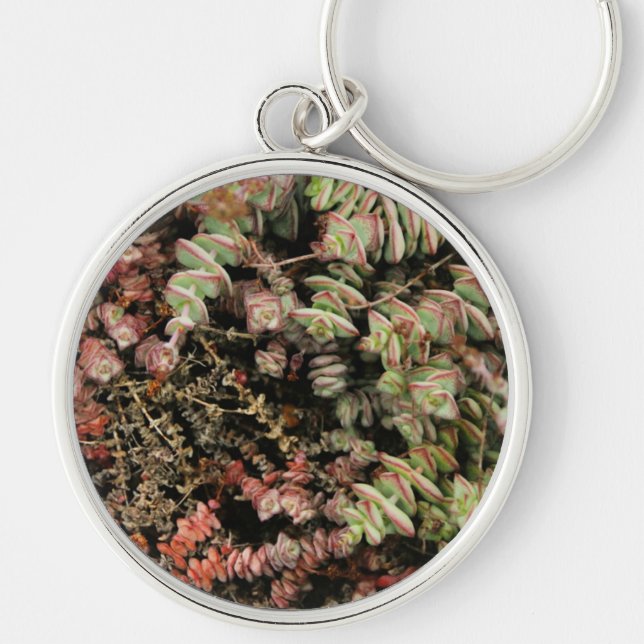 Crassula perforata key ring (Front)