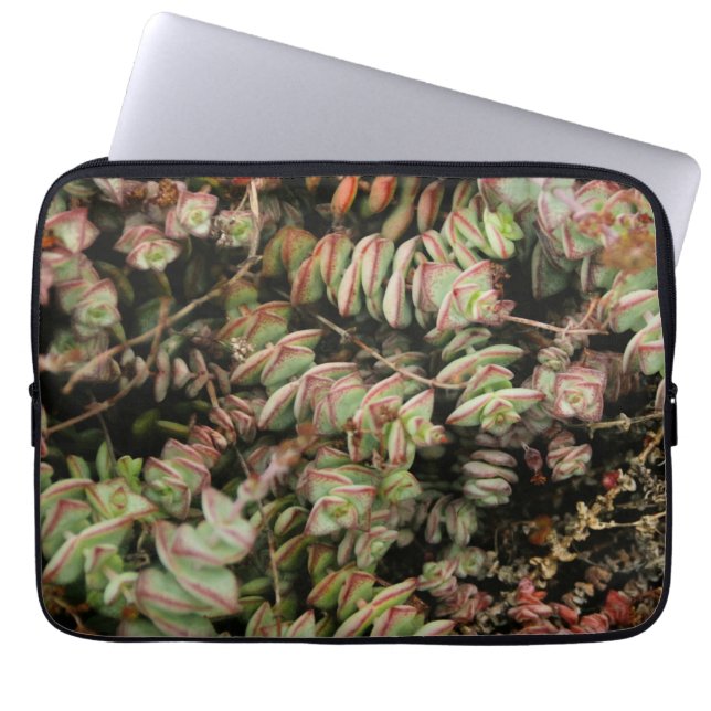 Crassula perforata laptop sleeve (Front)