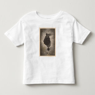 Crater of Mokuaweoweo, Mouna Loa, Hawaii Toddler T-Shirt