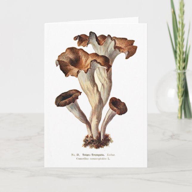Craterellus cornucopioides card (Front)