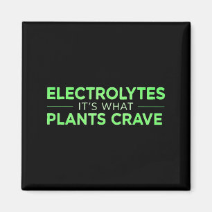 Crave Funny Magnet