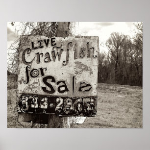 Crawfish [Art Print] Poster