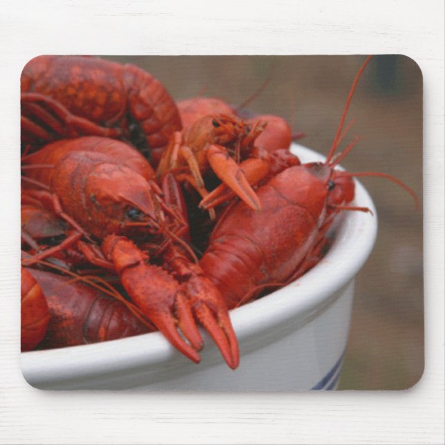 Crawfish Bowl Mousepad (Front)