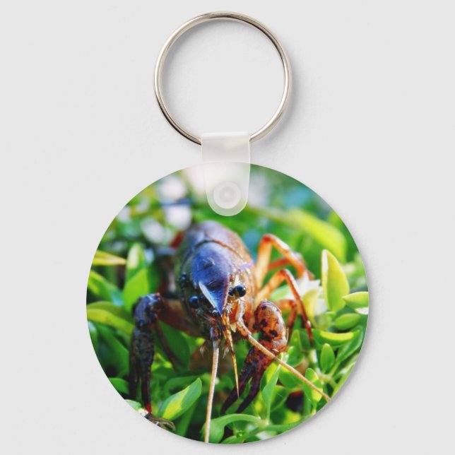 Crawfish Crawdads Crayfish Key Ring (Front)