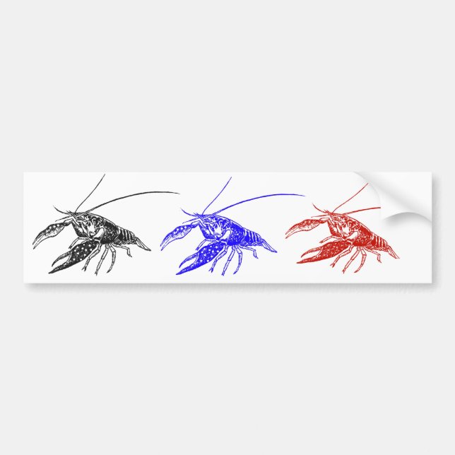 crawfish (crayfish) bumper sticker (Front)