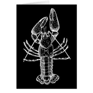 Crawfish Illustration white on black
