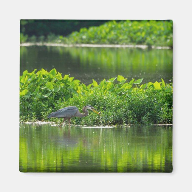 Crawfish Meal Time Magnet (Front)