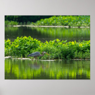 Crawfish Meal Time Poster