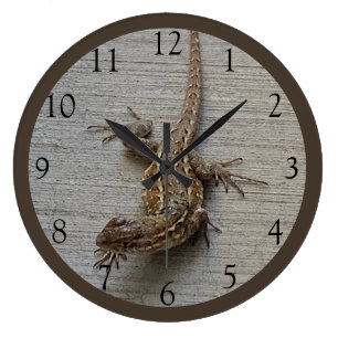 Crawling Lizard  Large Clock
