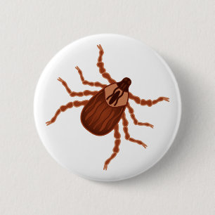 Crawly Realistic Tick Illustration 6 Cm Round Badge