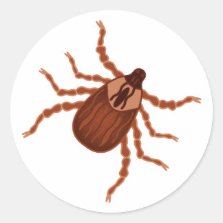 Crawly Realistic Tick Illustration Classic Round Sticker