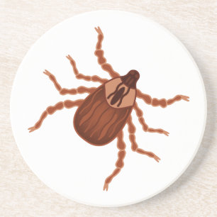 Crawly Realistic Tick Illustration Coaster