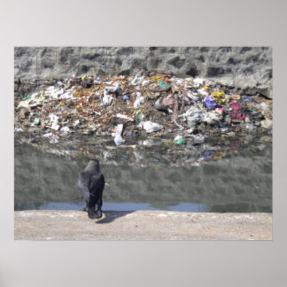 Craw's focus on garbage poster