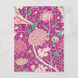 Cray in Pink Postcard