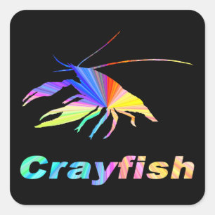 Crayfish-24 Square Sticker