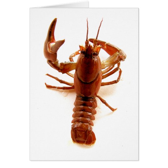 Crayfish Card