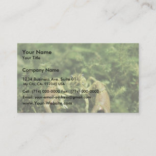 Crayfish- close-up underwater business card