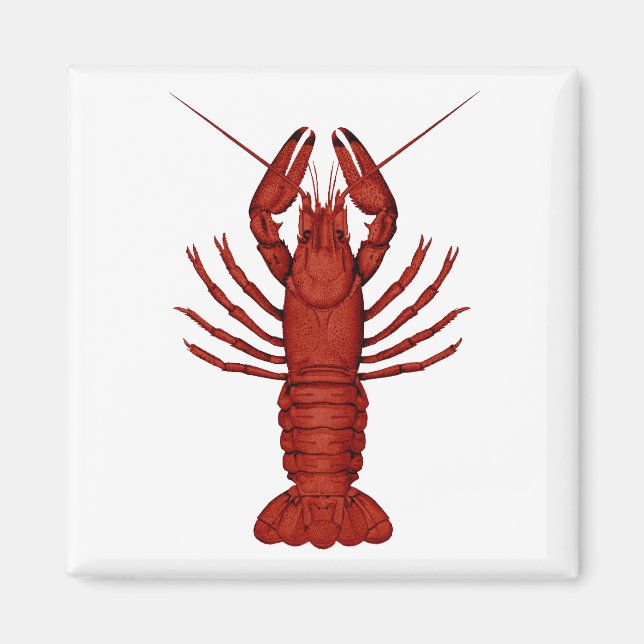 Crayfish Magnet (Front)