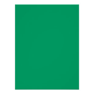 Crayon Colour Green Glossy Poster 