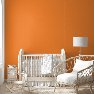 Crayon Colour Orange Peel and Stick Wallpaper