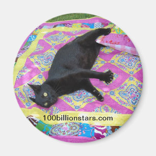 Crazed Quilt Cat Magnet