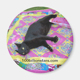 Crazed Quilt Cat Magnet