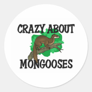 Crazy About Mongooses Classic Round Sticker