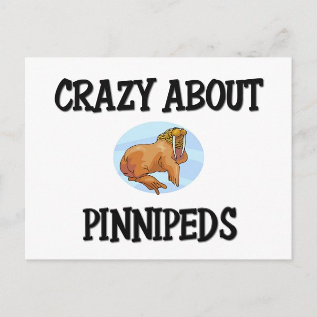 Crazy About Pinnipeds Postcard (Front)
