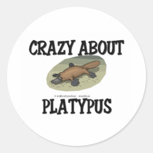 Crazy About Platypus Classic Round Sticker