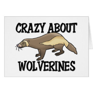 Crazy About Wolverines