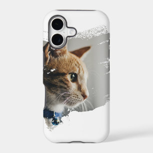 Crazy And Funny Cat