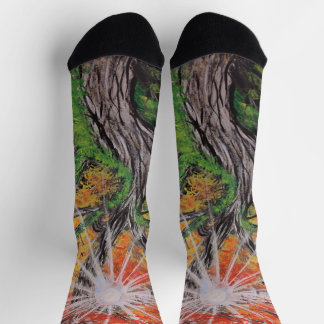 crazy art slippers socks