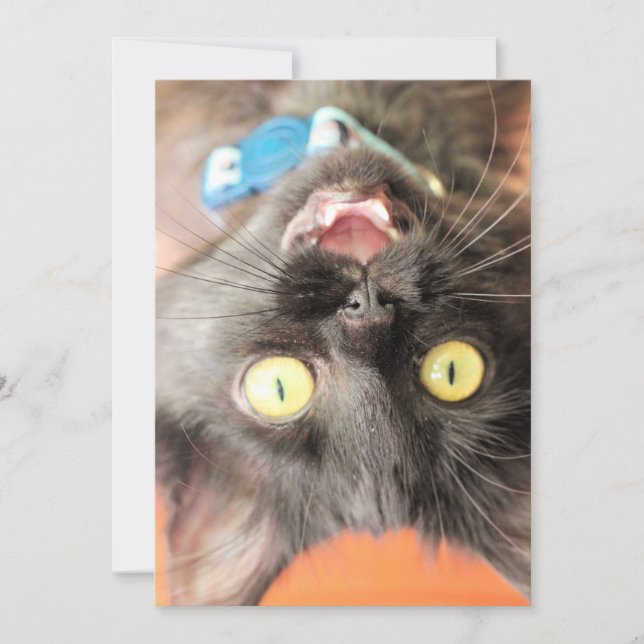 Crazy baby holiday card (Front)