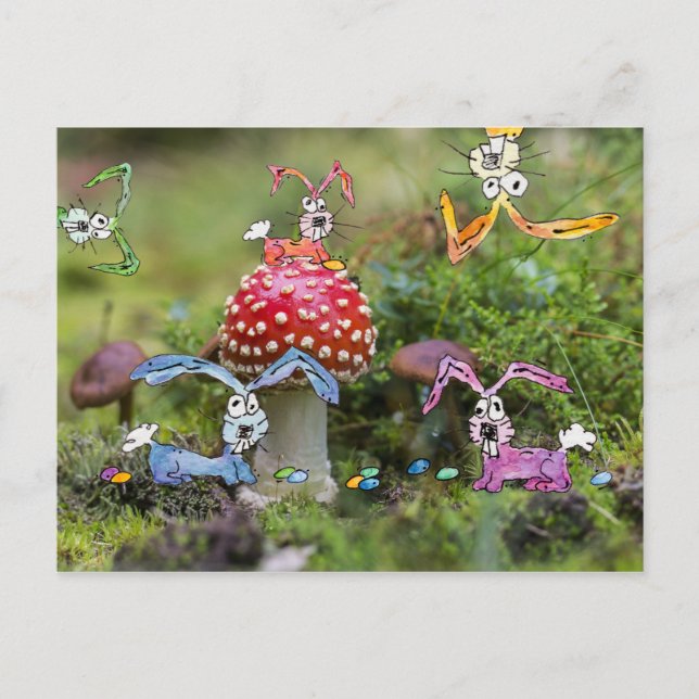 "CRAZY BUNNIES!" Postcard (Front)