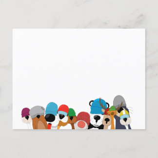 Crazy cap animals skateboard coffee cup postcard