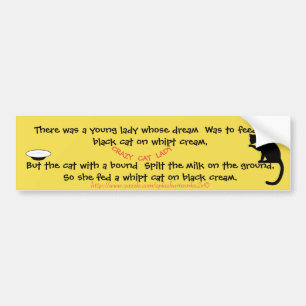 "Crazy Cat Ladies" Bumper Sticker