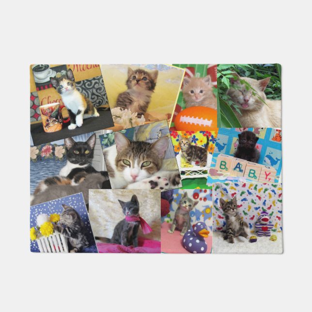 Crazy Cat Lady Doormat  (18 X 24) (Front)