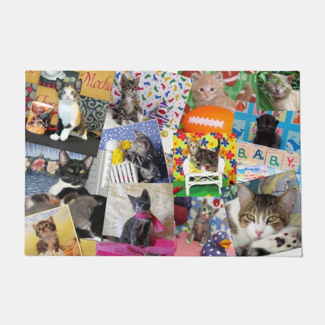 Crazy Cat Lady Doormat  (24 X 36) (Front)