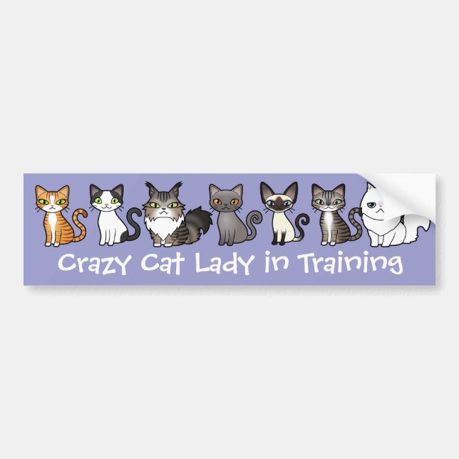 Crazy Cat Lady in Training (design your own cat) Bumper Sticker (Front)