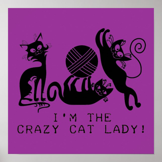 Crazy Cat Lady Poster (Front)