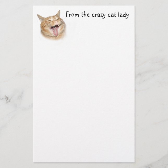 Crazy cat lady stationery (Front)