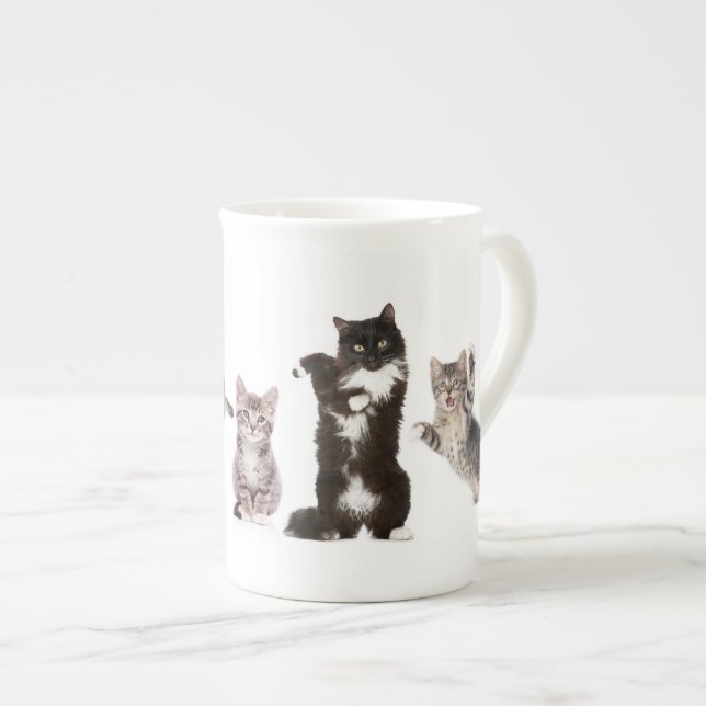 Crazy Cat Mug (Front Right)