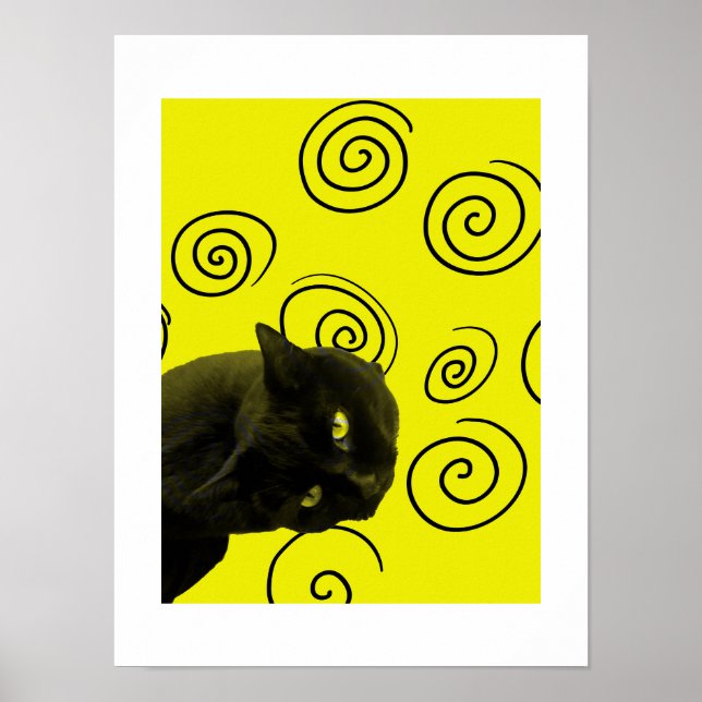 Crazy Cat Poster (Front)