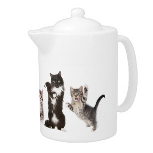 Crazy Cat Teapot